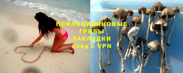 винт Слюдянка